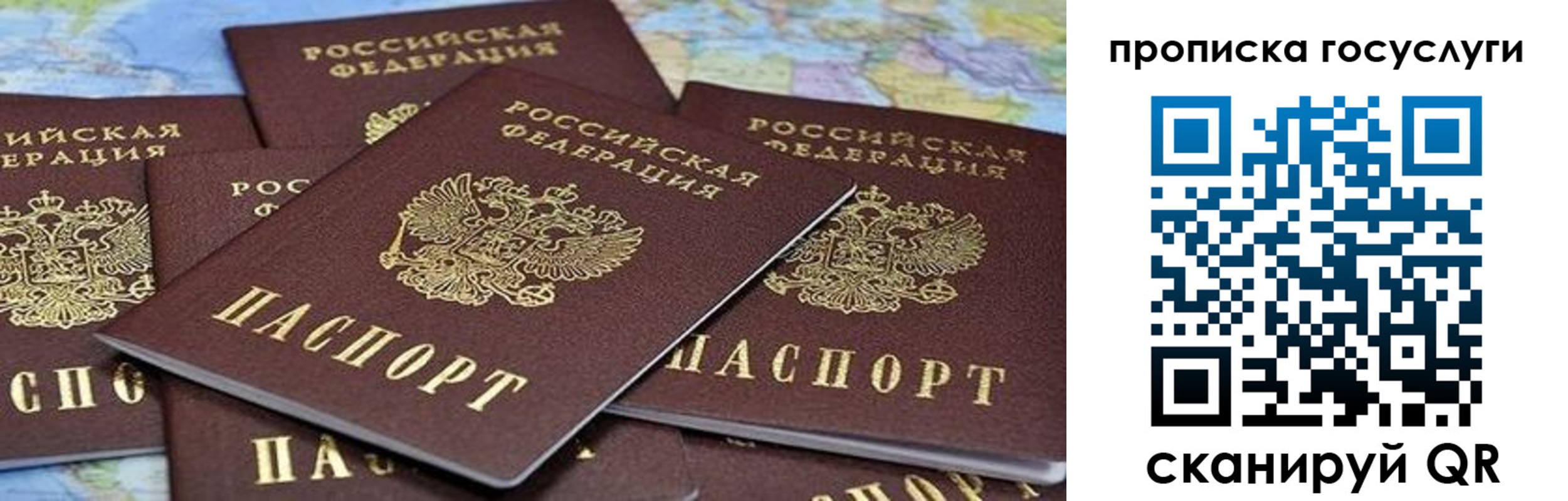 пропишу в квартире в Волгодонске
